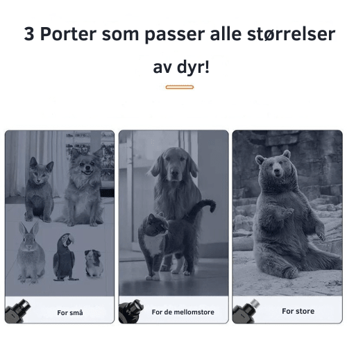 SmoothPaws™ - Elektrisk klosliper med lys - Makschill