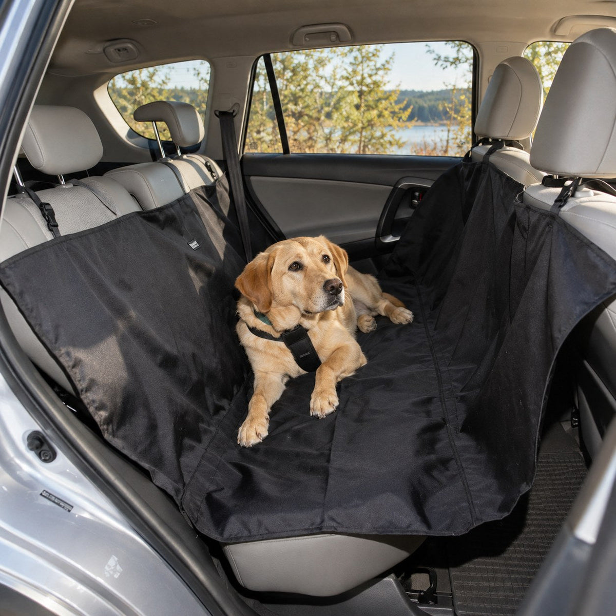 Bilsetebeskyttelse for hund i baksetet