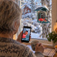 Kvinne ser dompapen på mobilen fra kjøkkenvinduet