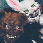 Skummel kaninmaske til Halloween