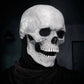 Halloween Makschill - Mr.Skeleton 3D Mask - Makschill